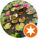 TẤN ĐẠT profile picture
