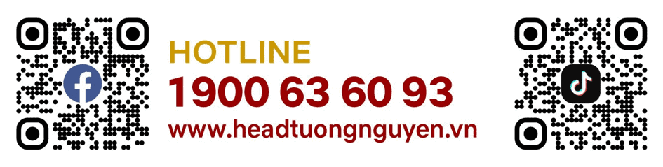 Dịch vụ chăm sóc khách hàng HEAD Tường Nguyên